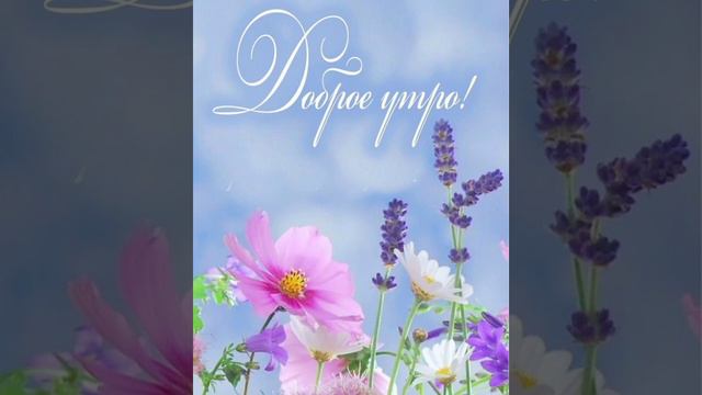 доброе летнее утро