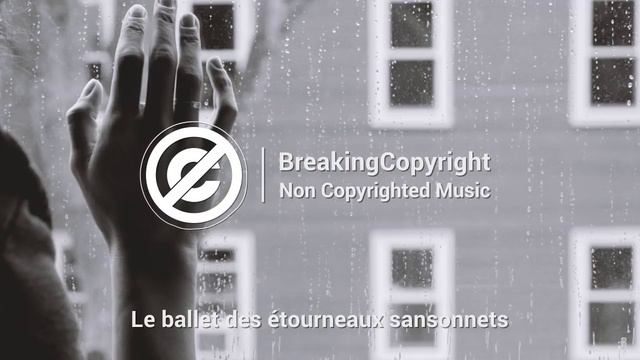'Le ballet des étourneaux sansonnets' by La soñadora 🇫🇷 _ Sad Music (No Copyright)