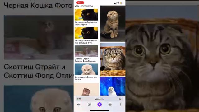Первая часть, как сделать видео в тик ток