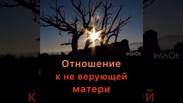 Отношение к не верующей матери. Любовь и уважение к матери. Почитание родителей в Исламе