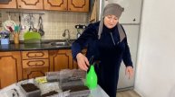 Съездила в магазин одежды,купила платье- подарок,посадила помидоры на рассаду.