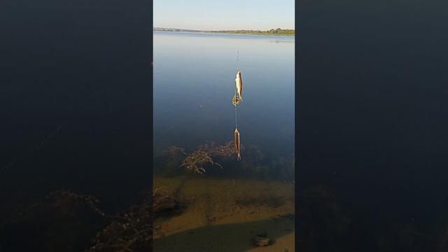 Рыбалка на деревенском пруду!
