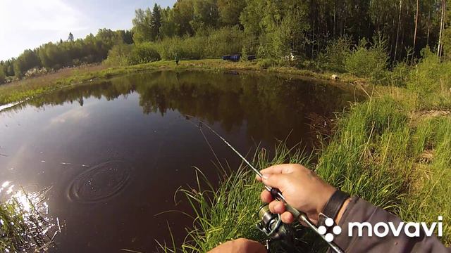 Рыбалка на реке Юг Нижегородской области. Мормышинг и поплавок.