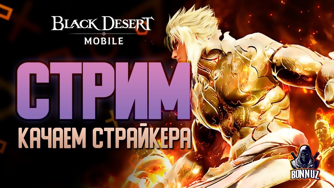 Стоит ли Играть в Black Desert 