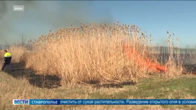 О правилах безопасности в пожароопасный сезон рассказывает заместитель начальника МЧС Ставрополья Се