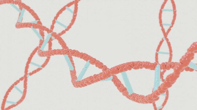 DNA