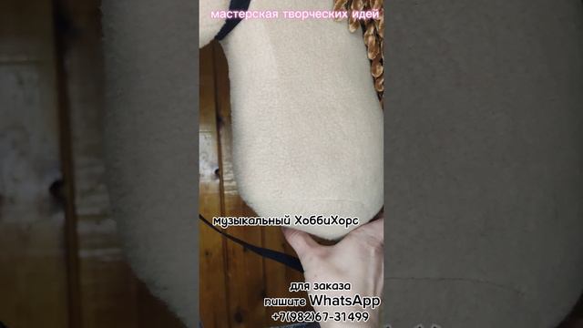 1000208450.mp4