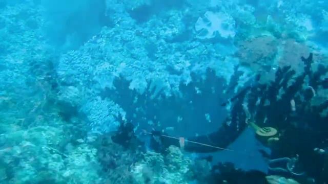 Мальдивы 2014 под водой
