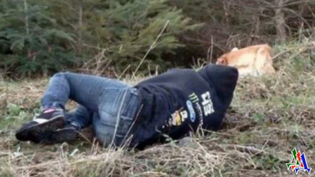 В окрестностях города одиноко бродила собака   она очень сильно была напугана и истощена