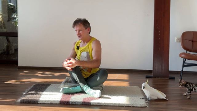 Fighting back pain: how gymnastics can be your salvation