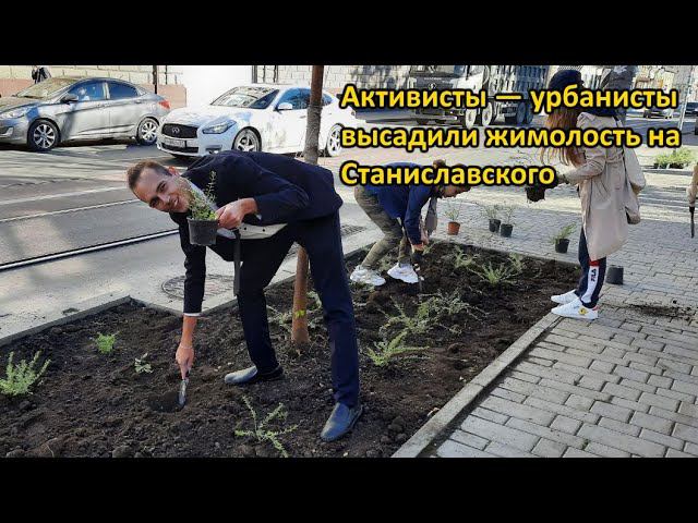 «Урбанистика - Ростов-на-Дону» высадили жимолость на Станиславского за счёт жителей