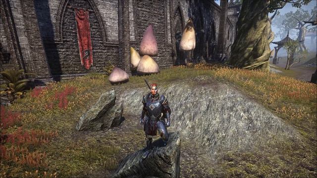 Как пройти ветеранку в Scalecaller Peak и Fang Lair | The Elder Scrolls Online