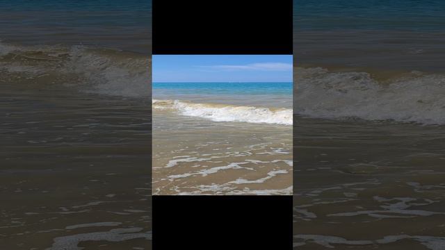 1000016173.mp4 #море