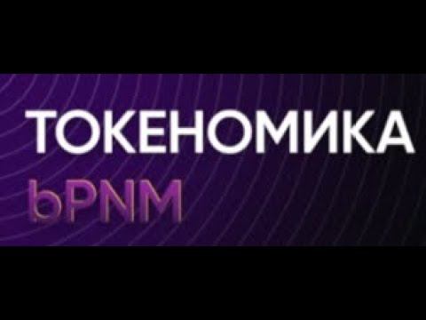 bPNM токен  Подробный разбор токеномики.  Модель дефляции