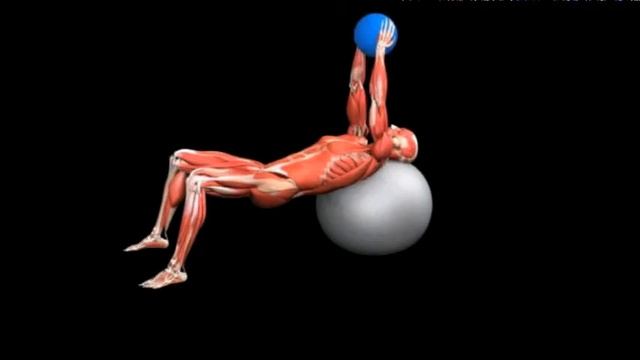 Сведение рук лежа на спине с медицинским мячом Medicine Ball Fly