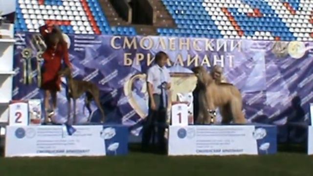 10.06.2012.."Смоленский Бриллиант" САСIB.Х гр.