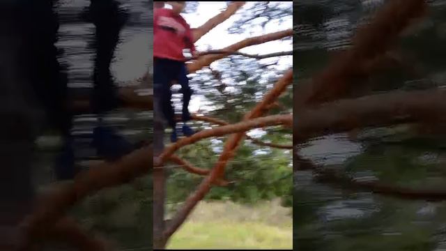 VID-20240817-WA0000.mp4