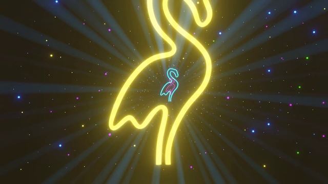 Neon Pink Flamingo Lights Wallpaper 4K Background Tunnel  Неон фламинго релакс заставка обои