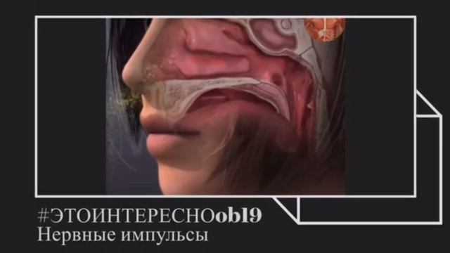 #ЭТОИНТЕРЕСНОob19.mp4
