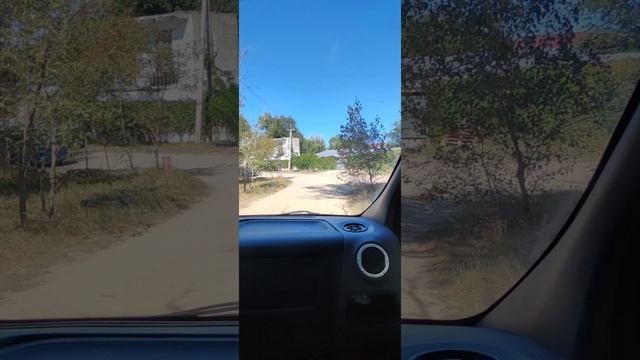 VID_20230919_121747.mp4