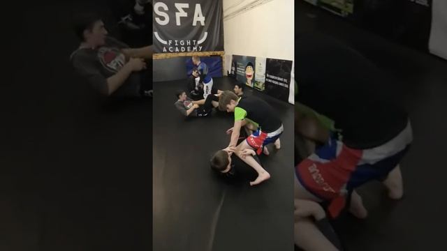 Бразильское джиу джитсу(2)