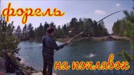 Ловля форели в Рк Азарт. Форель на пасту и кукурузу.