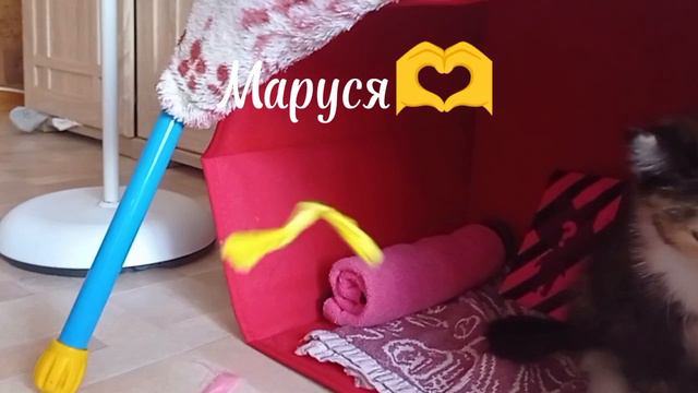 Знакомство.Кеша и Маруся)😊