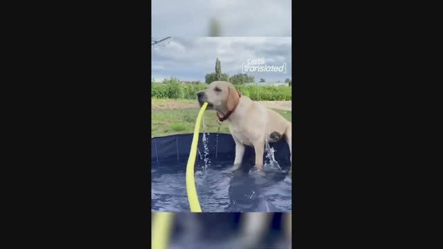 Bечеринка у бассейна!