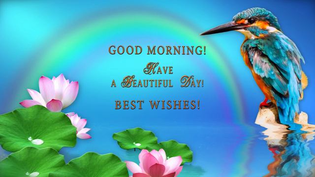 🌞Good Morning! Best Wishes! / #WhatsApp Greeting card🌞