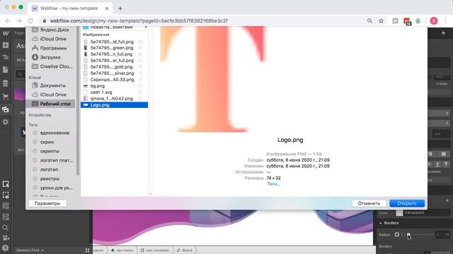 webflow Интенсив стрим Discord День1