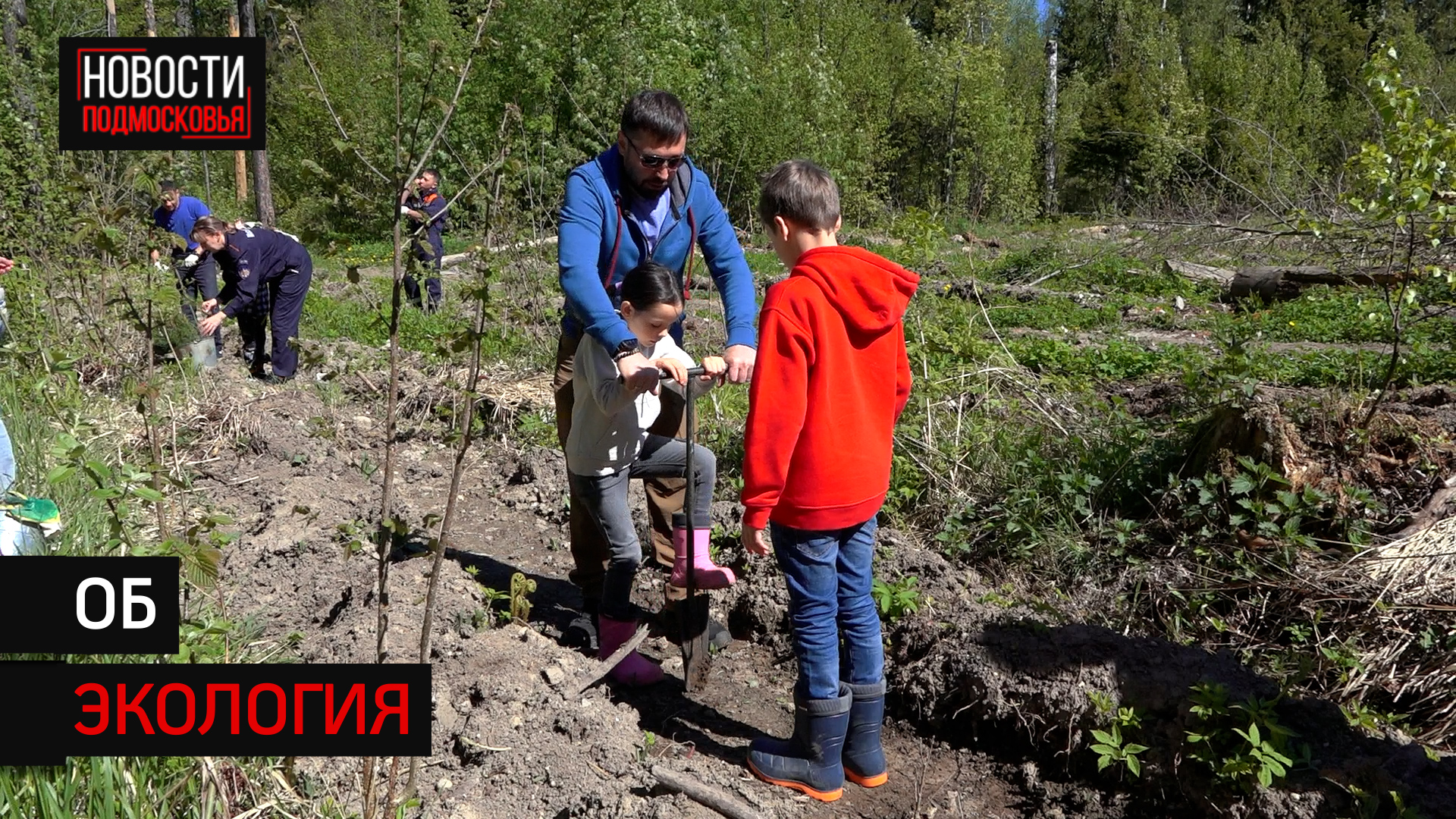 Акция "Лес будущего" прошла в  Солнечногорске