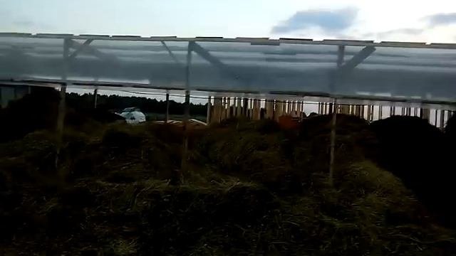 Хроника строительства дома из соломы 12-08-23