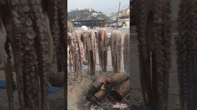 Осьминог на углях. Подача в испанском ресторане