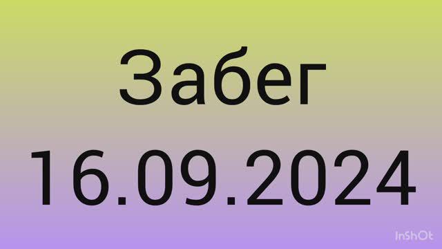 Забег 16.09.2024