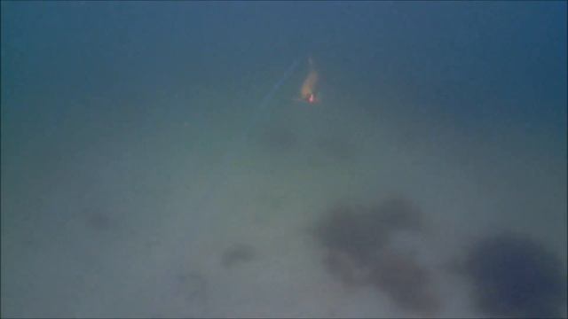 Havørredfiskeri med Water Wolf 22  sep  2017