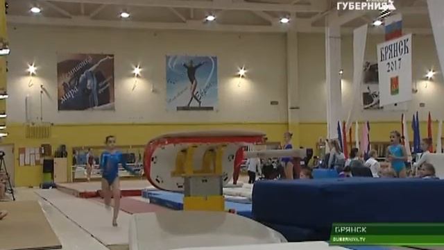 В Брянске прошли Чемпионат и Первенство области по спортивной гимнастике 14 11 17