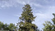 Apple iPhone 13 - Video Camera Test (UHD 4K 3840x2160 | 60fps)