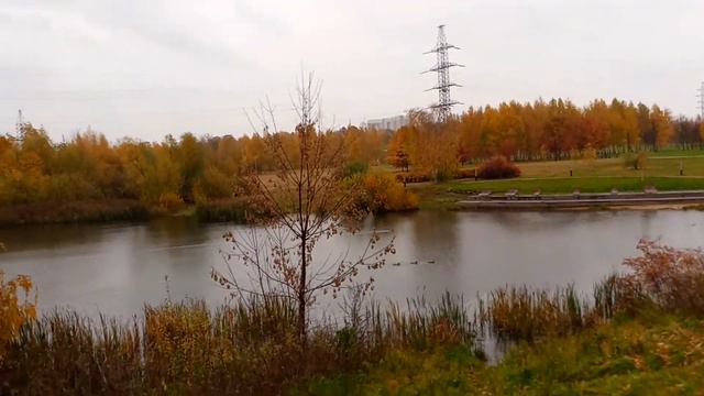 Осень пруд Митино 2019 Москва
