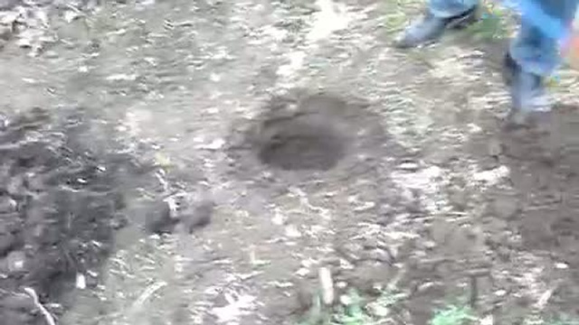 Чудо-ямобур, шнековый