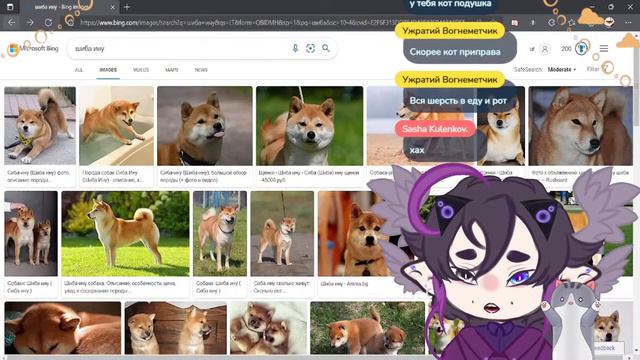 ИГРАЕМ В БИНГО /  VTUBER