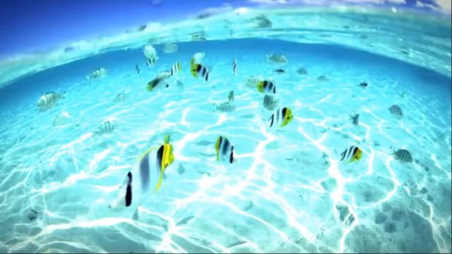 Calm Water [TRAP REMIX]