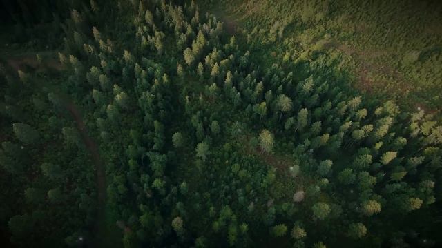 ЭТО_ВАШ_ЗНАК___Вы_Перестанете_тревожиться_и_волноваться_после_этого