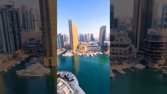 Утро в Дубае