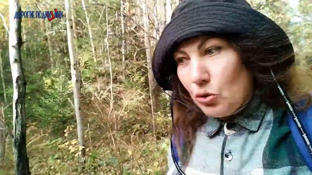 ОПЯТА ОСЕНЬЮ | ГРИБЫ | КОЗЛЯТА | ЛЕС