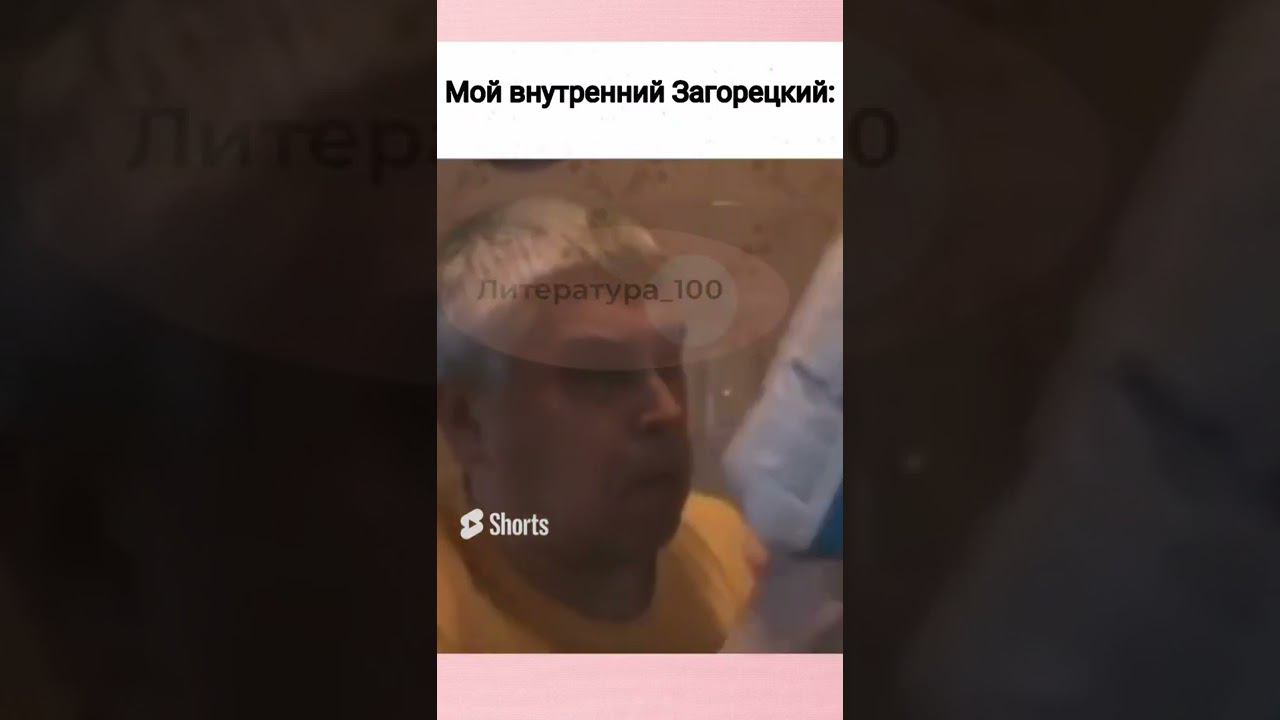 Литмемы   #подготовкаегэ #егэлитература #литература100