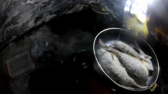 ПРОДОЛЖЕНИЕ. Ночь гнала нас домой, но мы остались! Кременчугское водохранилище. Плотва,еда,туда сюд
