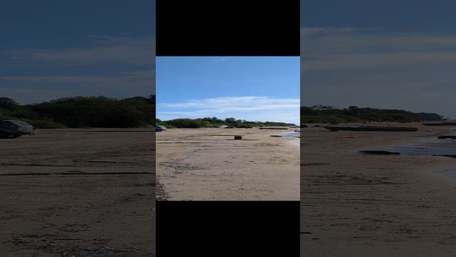1000061368.mp4