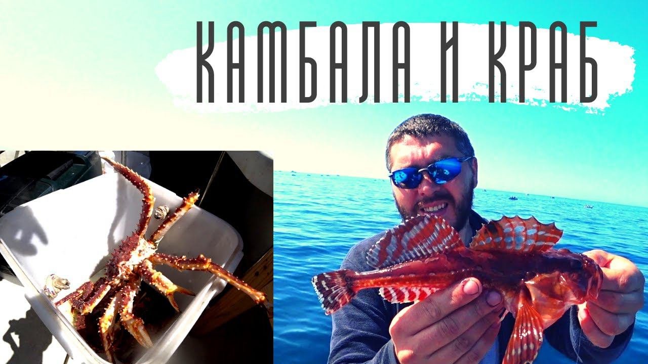 Ведра камбалы и краба. Кайфуем на рыбалке.