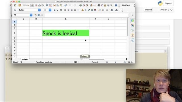 Setting Your Column Widths in xlsxwriter
