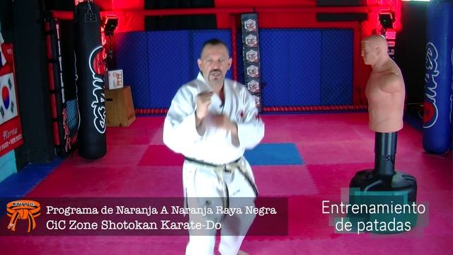 how to learn karate online freeCinta Naranja raya negra Part 2, Shotokan Karate Do Orange stripe